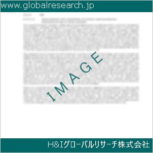グローバルリサーチ調査資料のイメージ